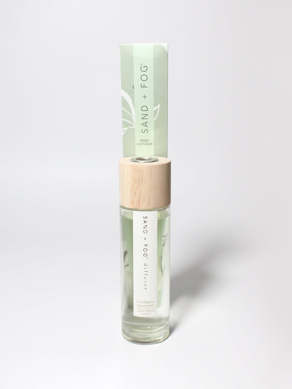 Premium Eucalyptus Spearmint 100 ml Reed Diffuser