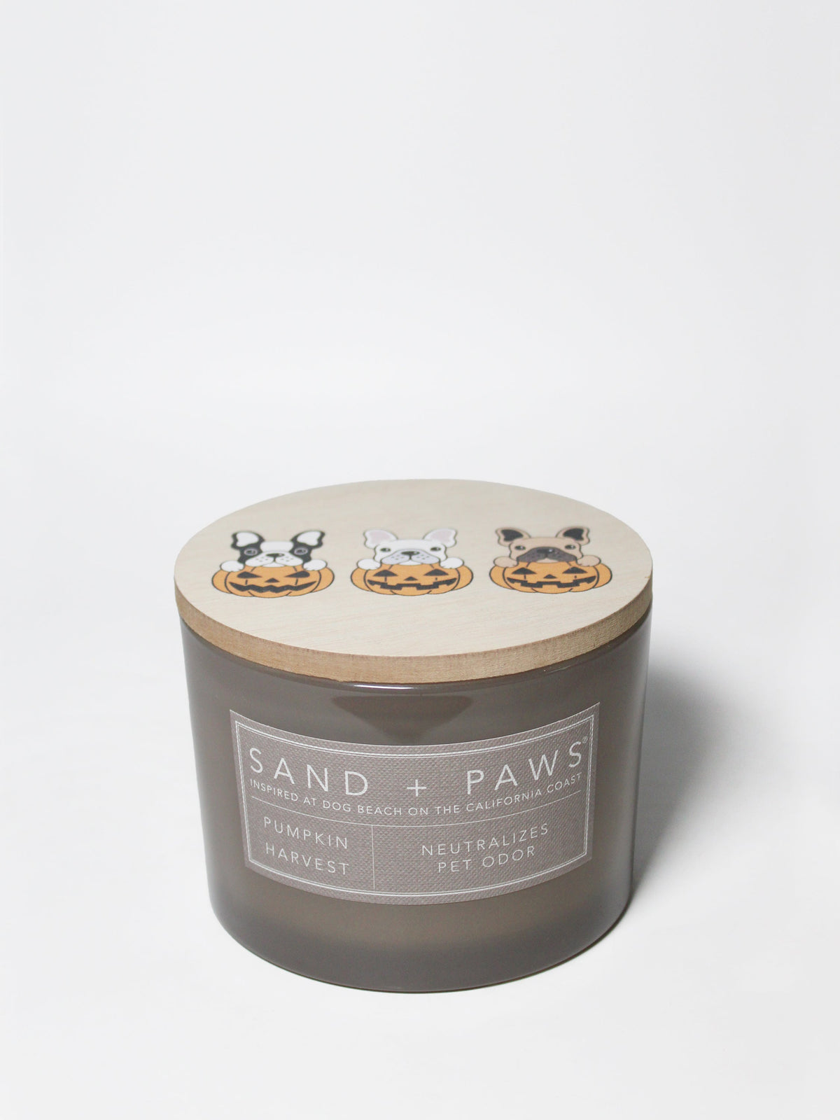 Premium Sand + Paws Pumpkin Harvest 12 oz scented candle