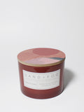 Premium Sun-n-Fun 12 oz scented candle