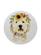 Premium Sand + Paws Mango Tangerine 12 oz scented candle