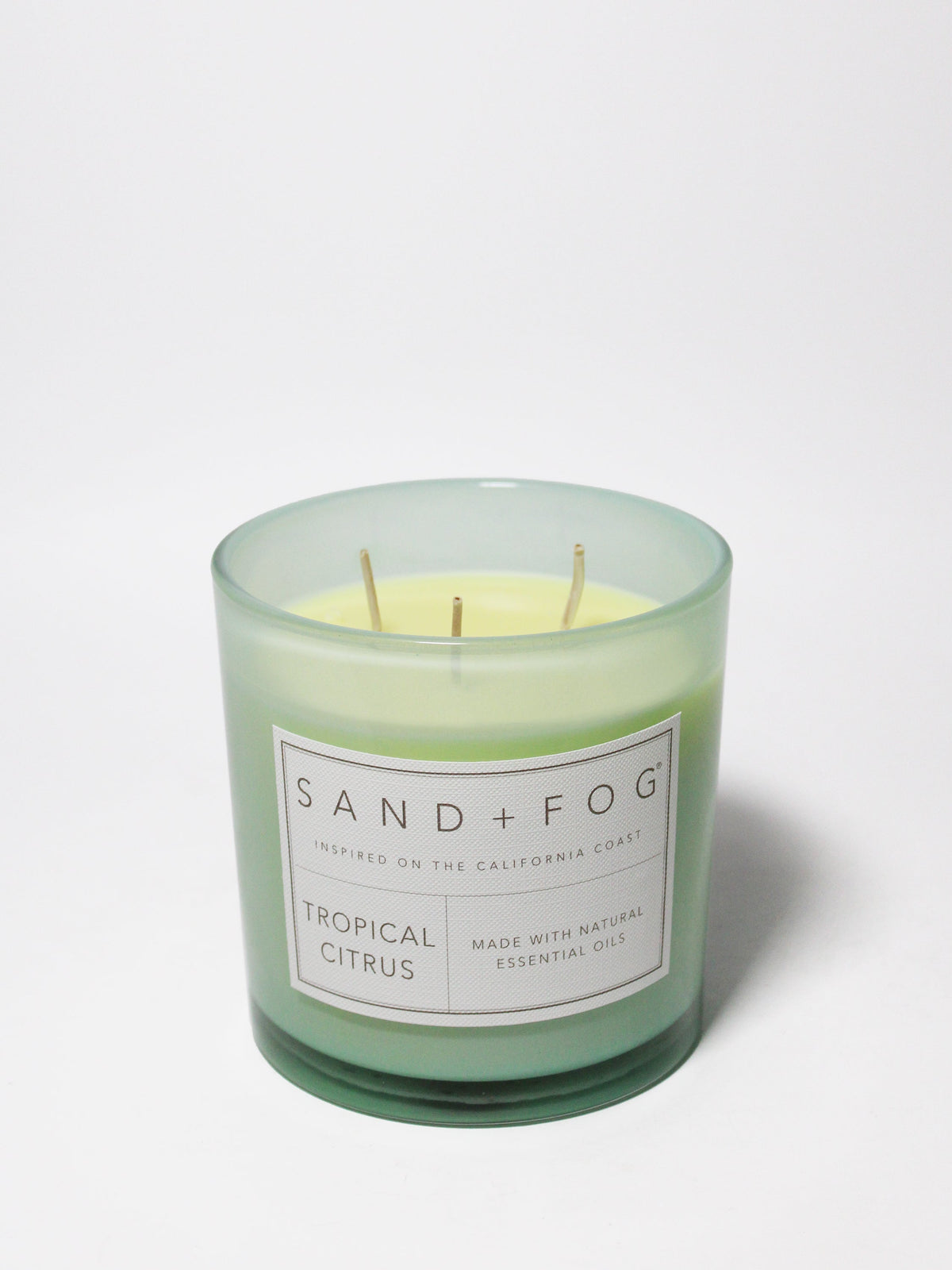 Premium Tropical Citrus 21 oz scented candle