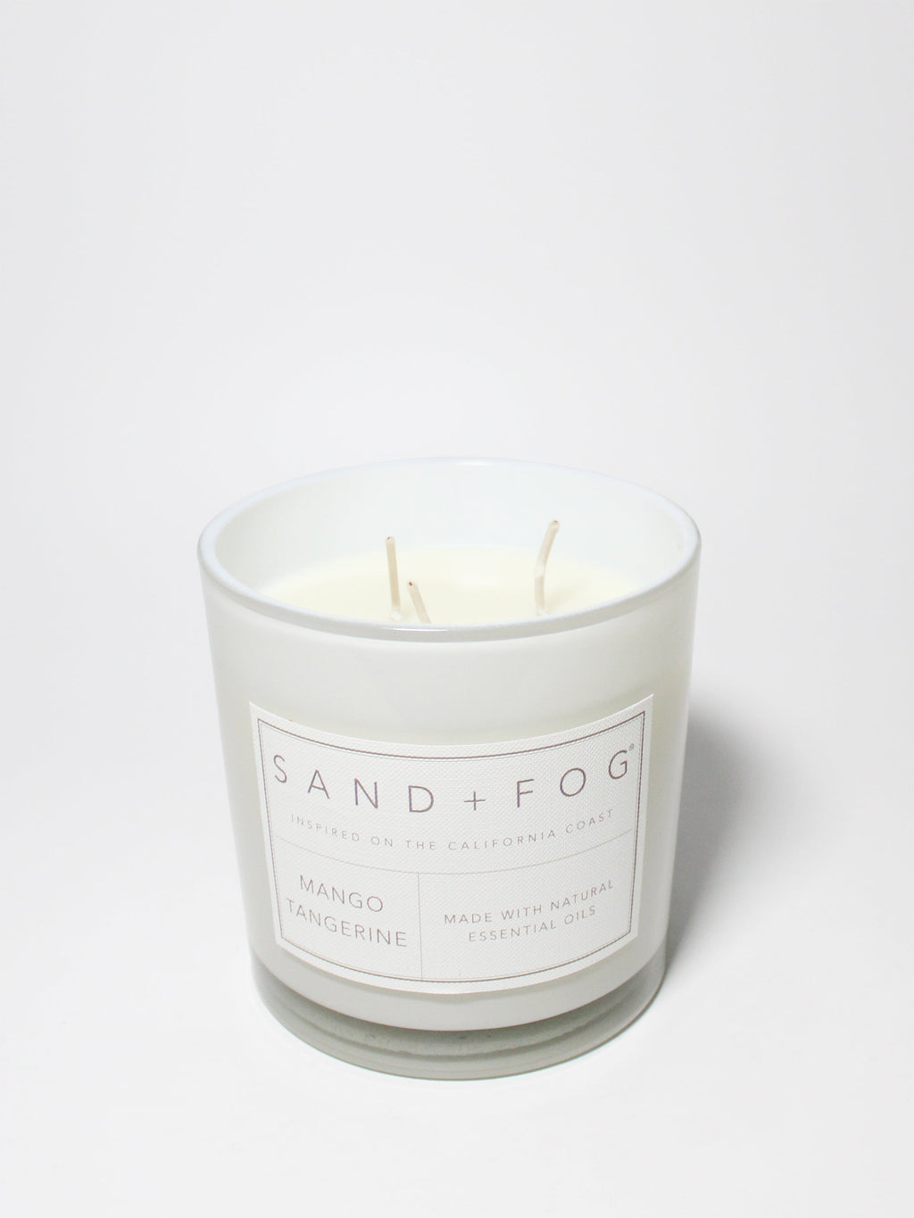 Premium Mango Tangerine 21 oz scented candle