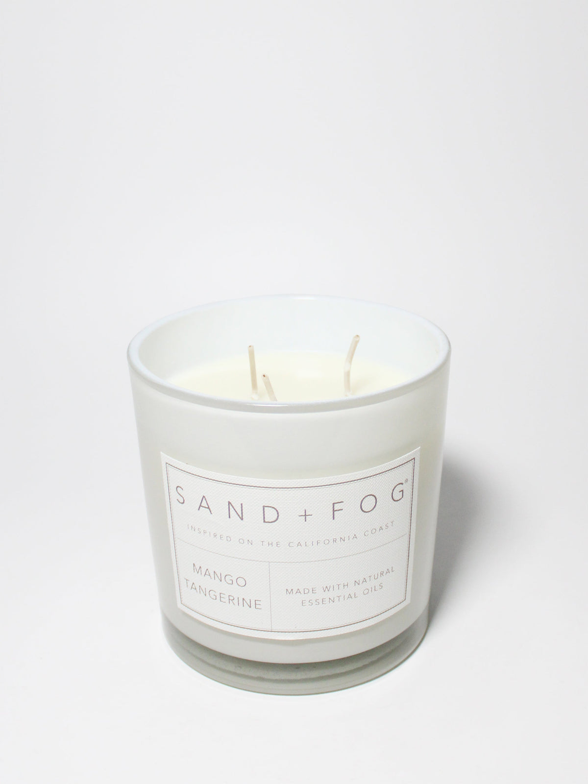 Premium Mango Tangerine 21 oz scented candle