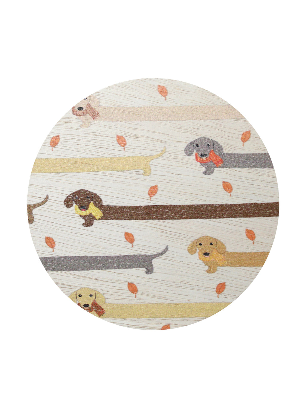 Premium Sand + Paws Apple Cider 12 oz scented candle