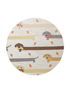 Premium Sand + Paws Apple Cider 12 oz scented candle