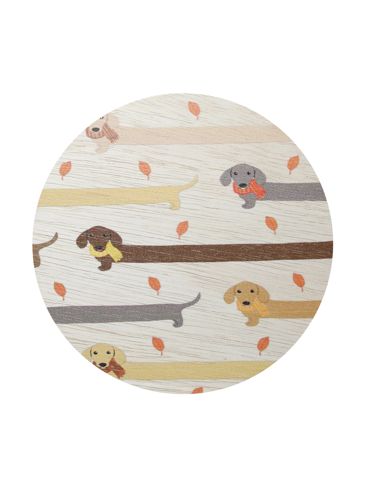 Premium Sand + Paws Apple Cider 12 oz scented candle