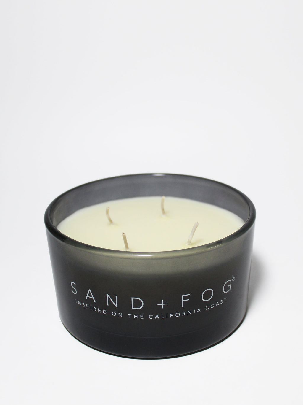 Premium Fern & Moss 23 oz scented candle