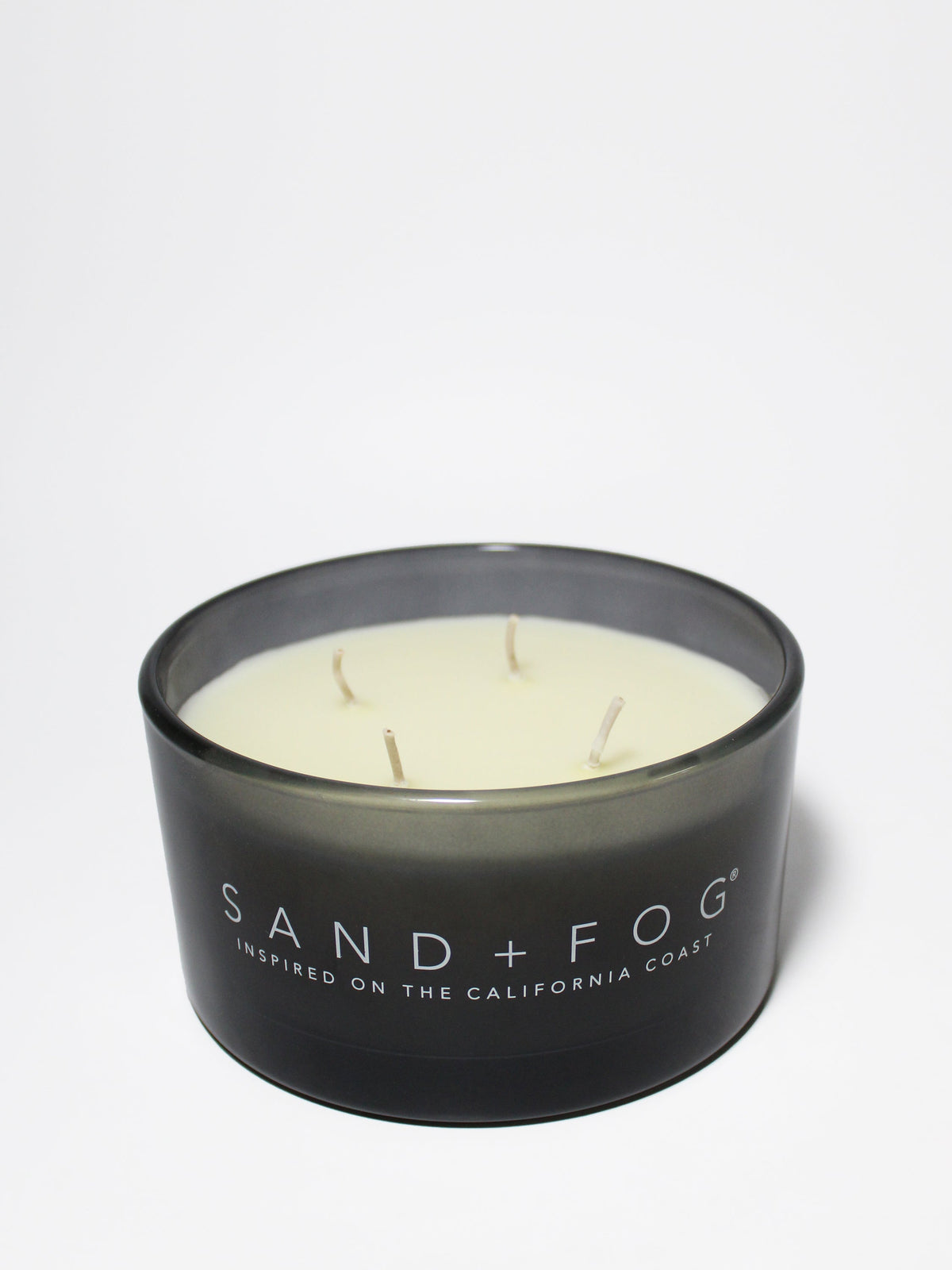 Premium Fern & Moss 23 oz scented candle