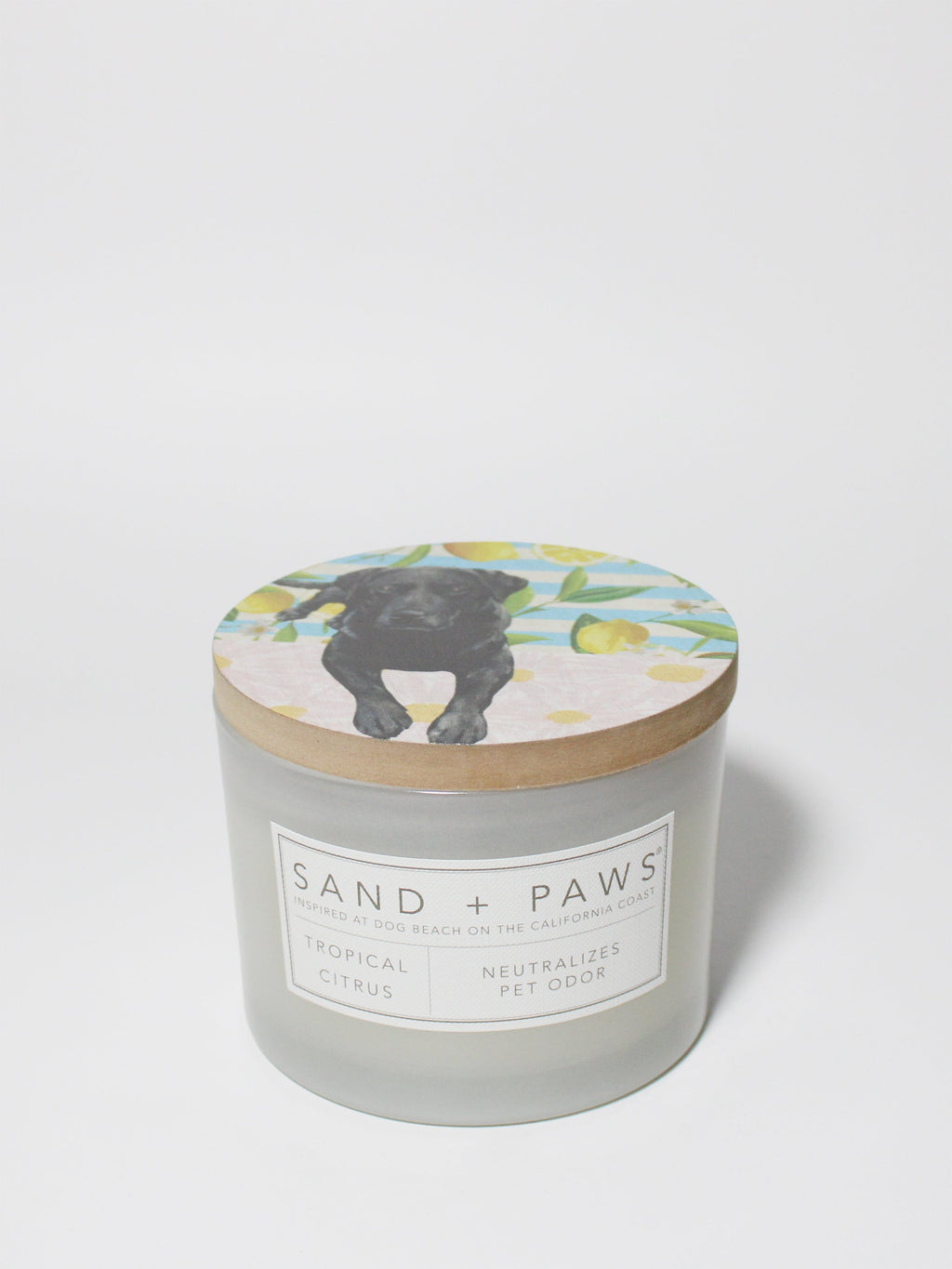 Premium Sand + Paws Tropical Citrus 12 oz scented candle