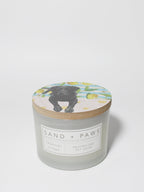 Premium Sand + Paws Tropical Citrus 12 oz scented candle
