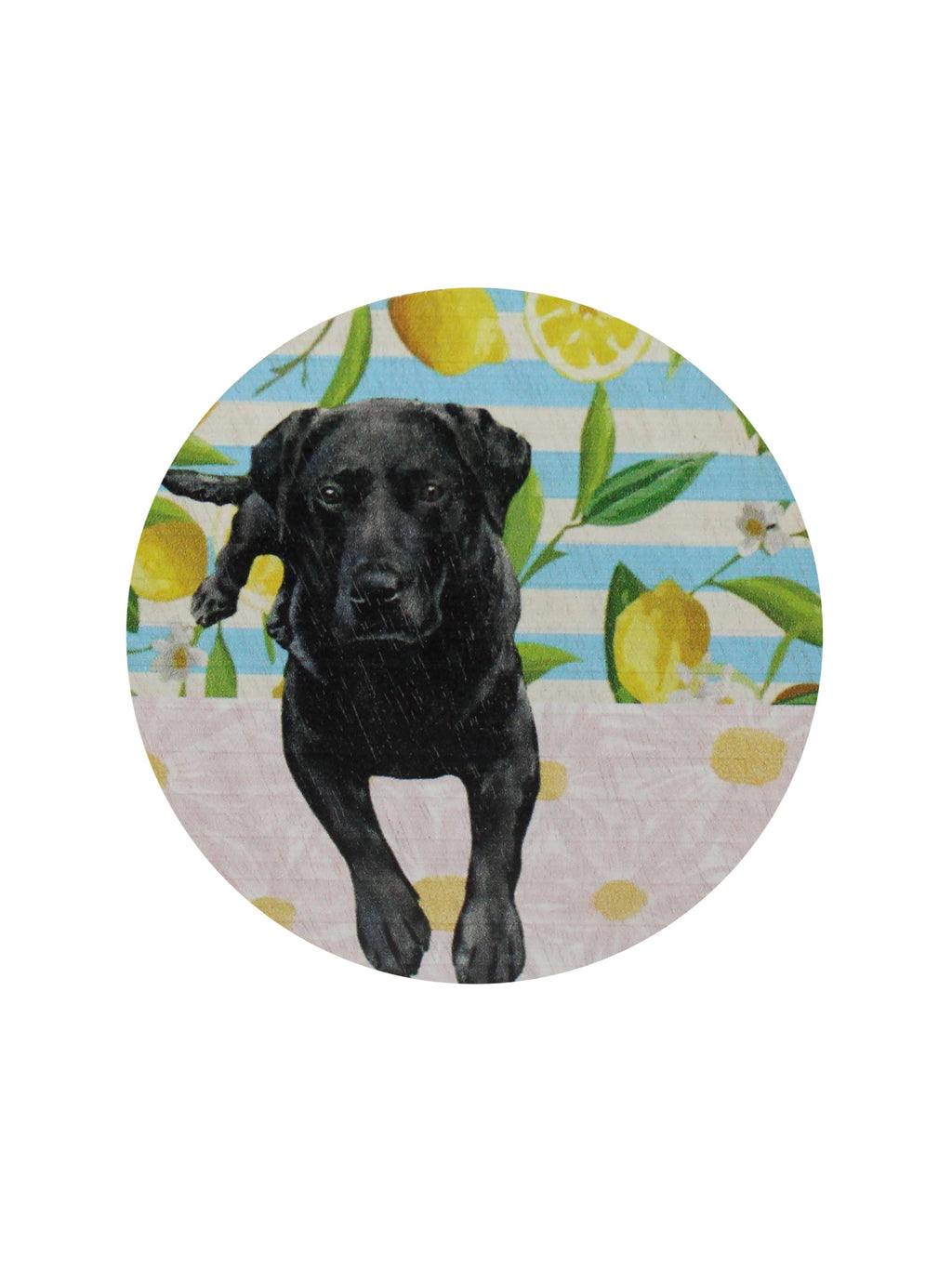 Premium Sand + Paws Tropical Citrus 12 oz scented candle