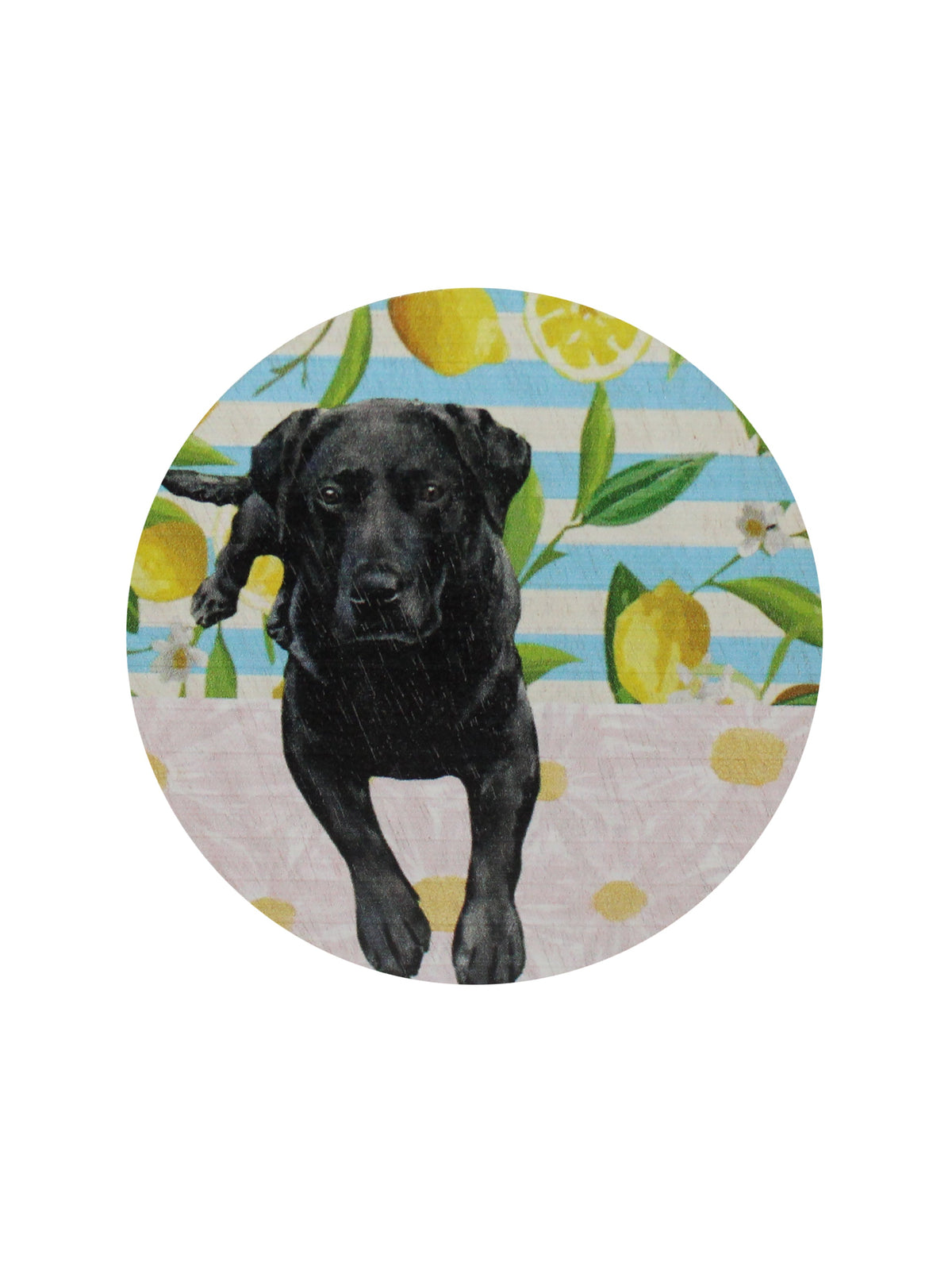 Premium Sand + Paws Tropical Citrus 12 oz scented candle