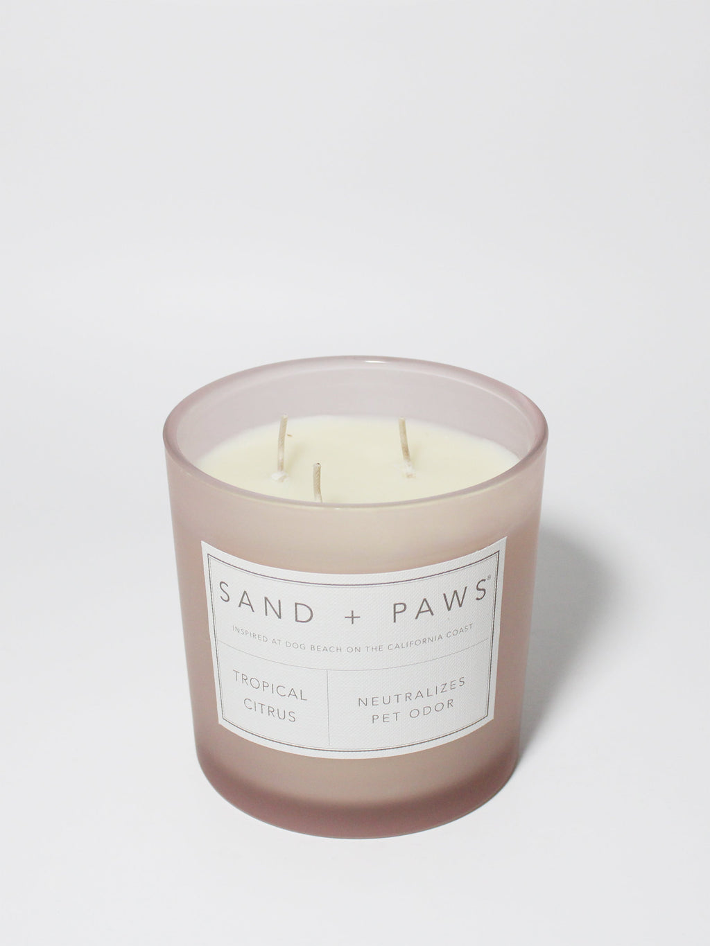 Premium Sand + Paws Tropical Citrus 21 oz scented candle