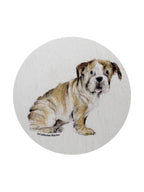 Premium Sand + Paws California Citron 12 oz scented candle