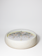 Premium Ocean Mist 27 oz scented candle