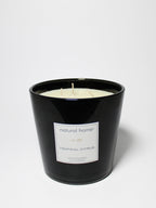 Premium Tropical Citrus Natural Home 31 oz scented candle