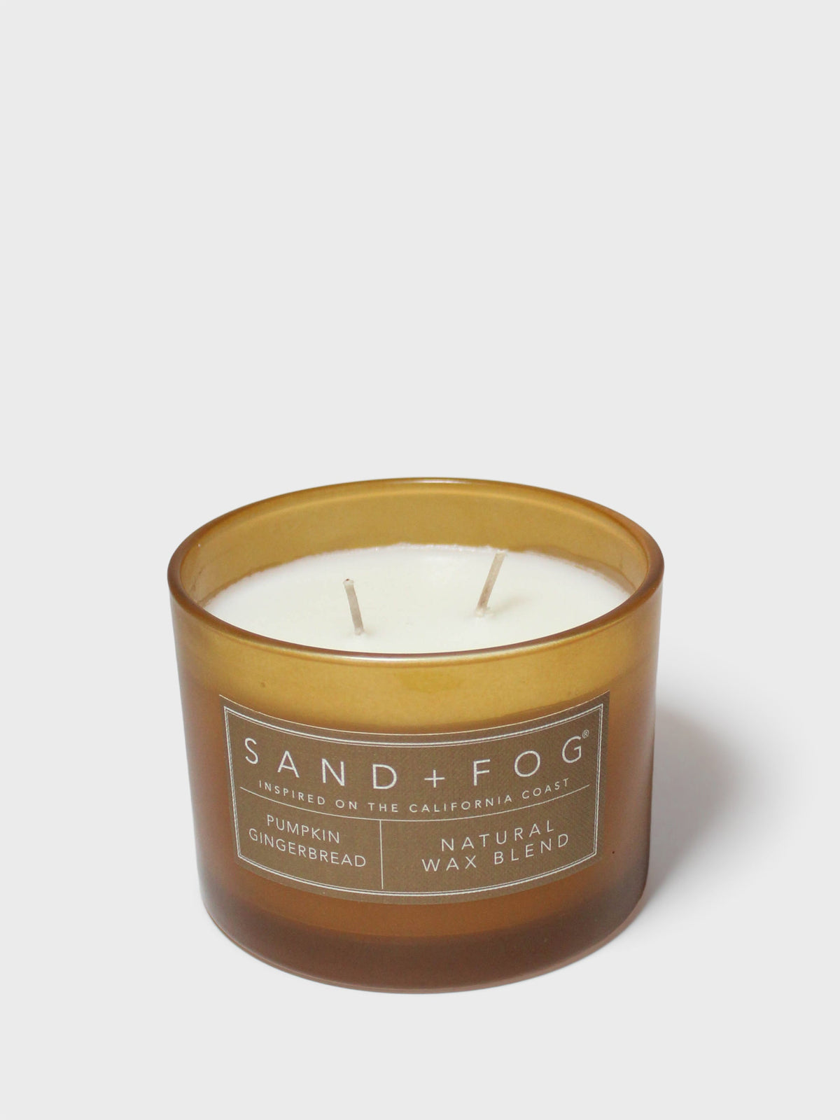 Premium Pumpkin Gingerbread 12 oz scented candle