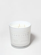 Premium Whipped Vanilla Pumpkin 21 oz scented candle