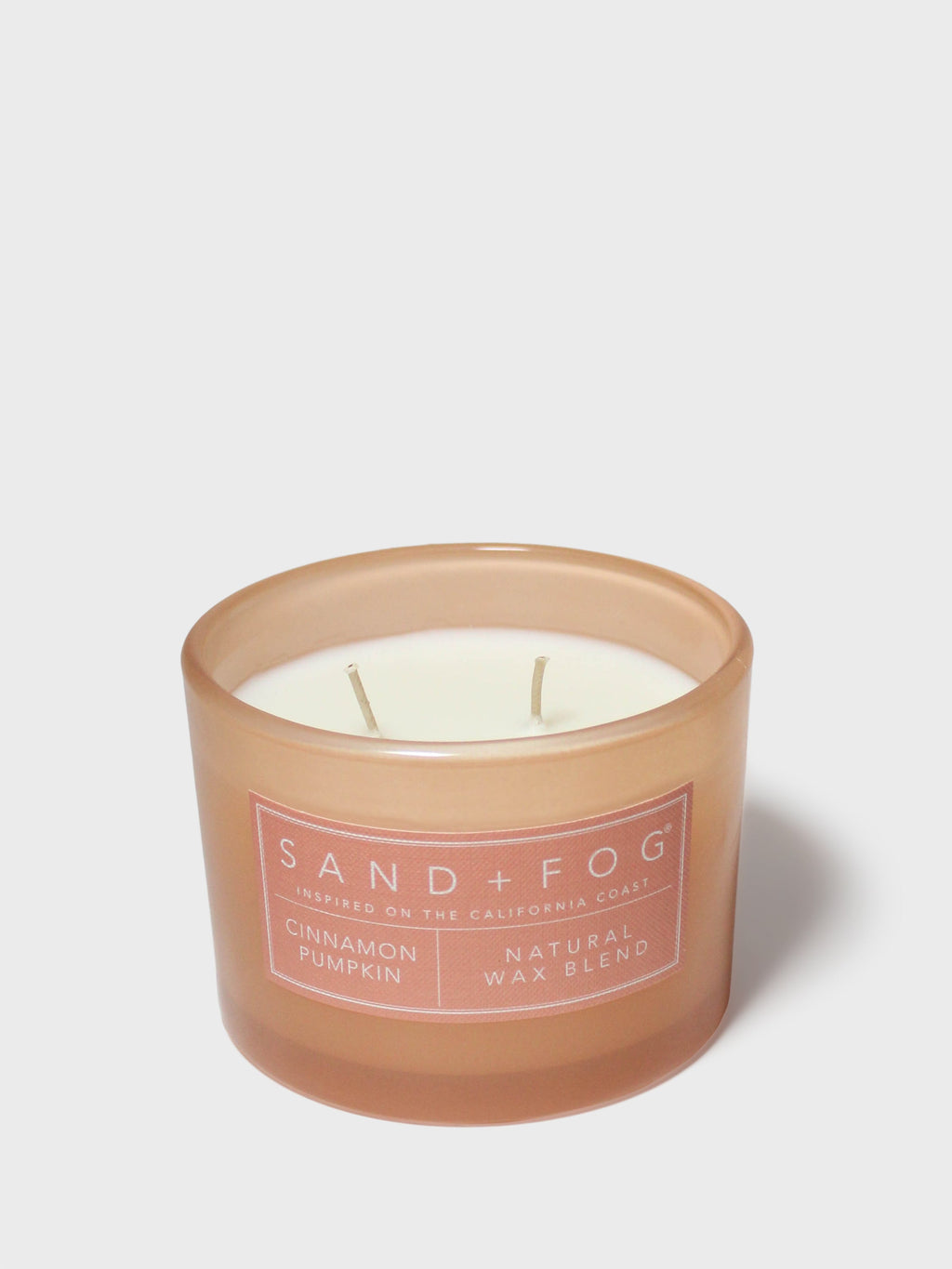 Premium Cinnamon Pumpkin 12 oz scented candle