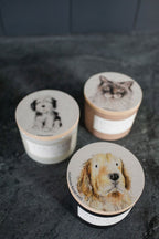 Premium Sand + Paws White Vanilla 12 oz scented candle