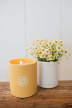 Premium Sun Washed Citrus 12 oz scented candle