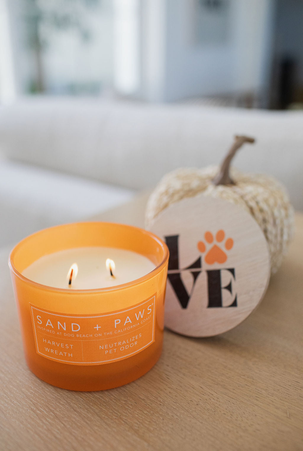 Premium Sand + Paws Harvest Wreath 12 oz scented candle