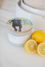 Premium Sand + Paws Tropical Citrus 12 oz scented candle