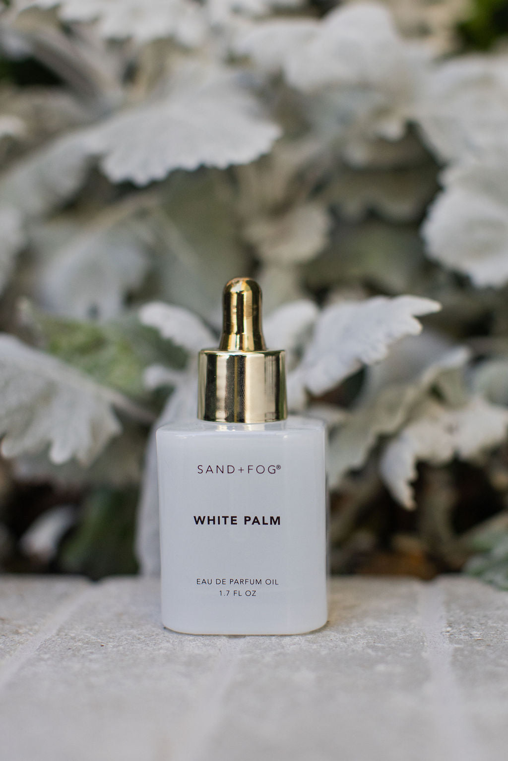Premium White Palm 50 ml Perfume Oil Dropper