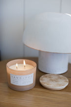 Premium Island Orchid 12 oz scented candle