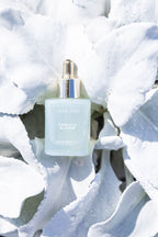 Premium Vanilla Bloom 50 ml Perfume Oil Dropper