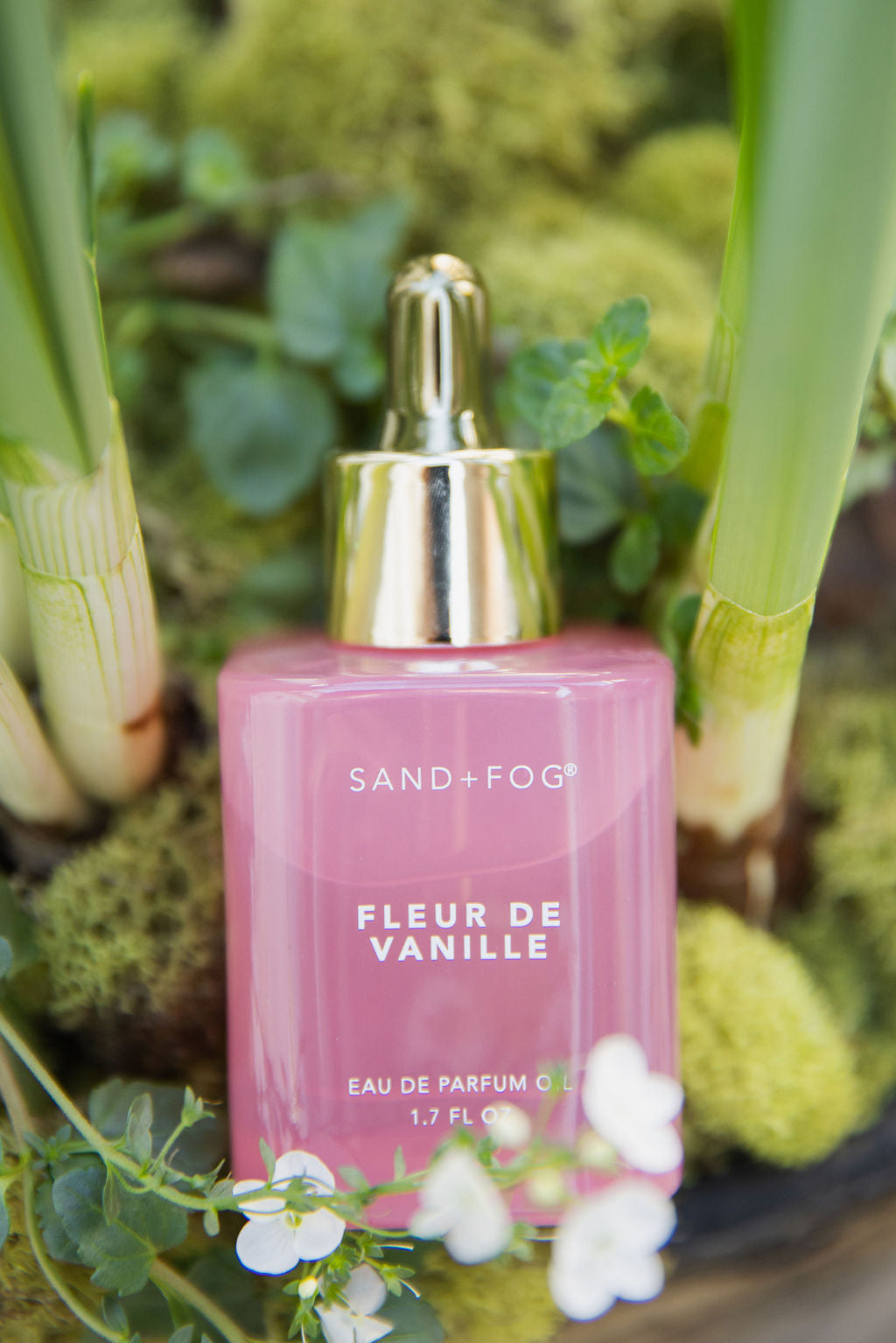 Premium Fleur de Vanille 50 ml Perfume Oil Dropper