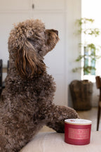 Premium Sand + Paws Winter White 12 oz scented candle