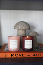 Premium Jasmine & Cedarwood 10 oz scented candle