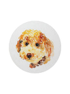 Premium Sand + Paws Cashmere & Linen 12 oz scented candle