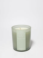 Premium Eucalyptus 10 oz scented candle