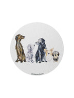 Premium Sand + Paws Cedar & Lavender 12 oz scented candle