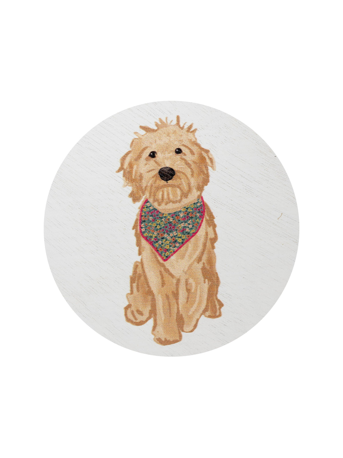 Premium Sand + Paws Laundry Day 12 oz scented candle