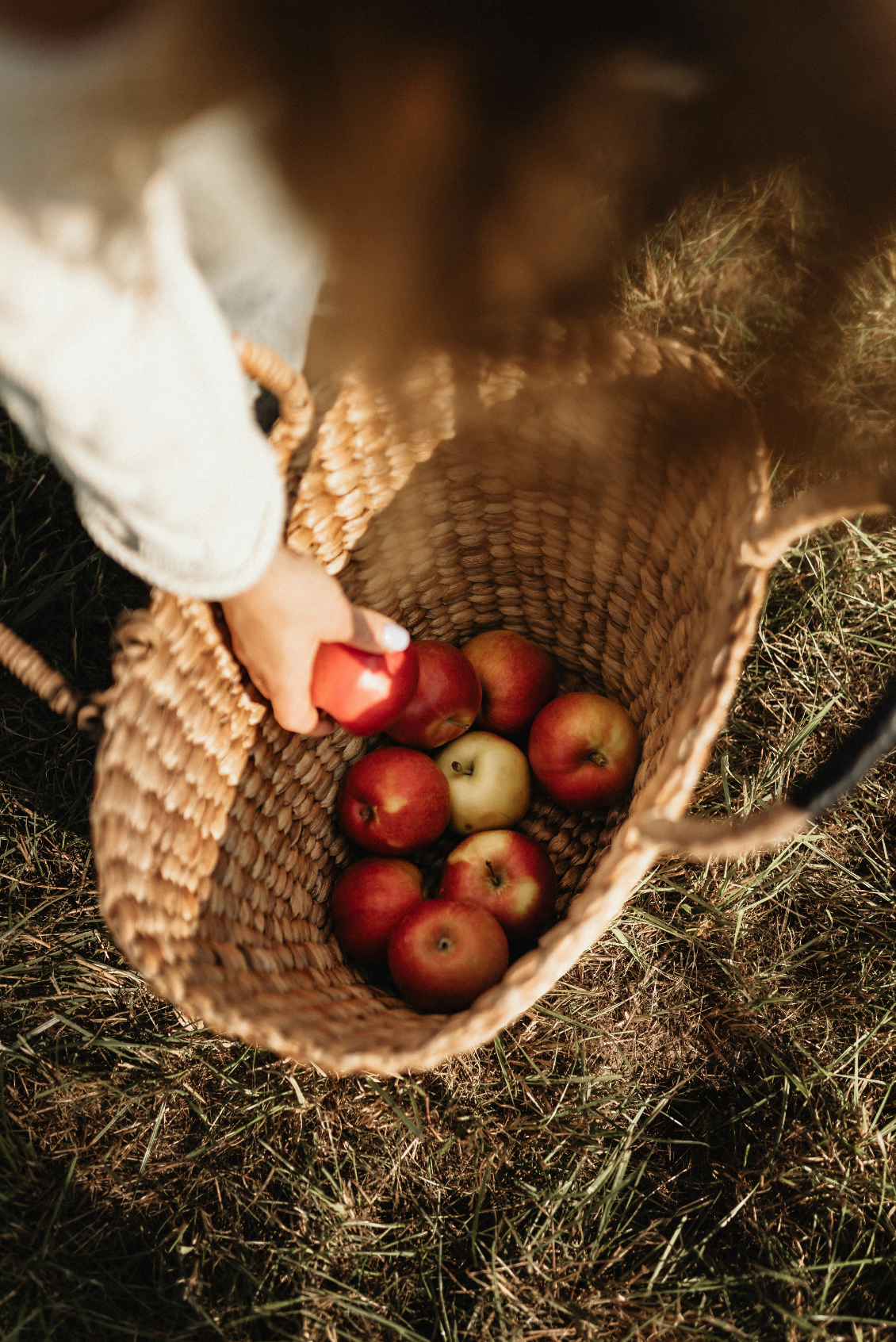 Premium Apple Picking 12 oz scented candle
