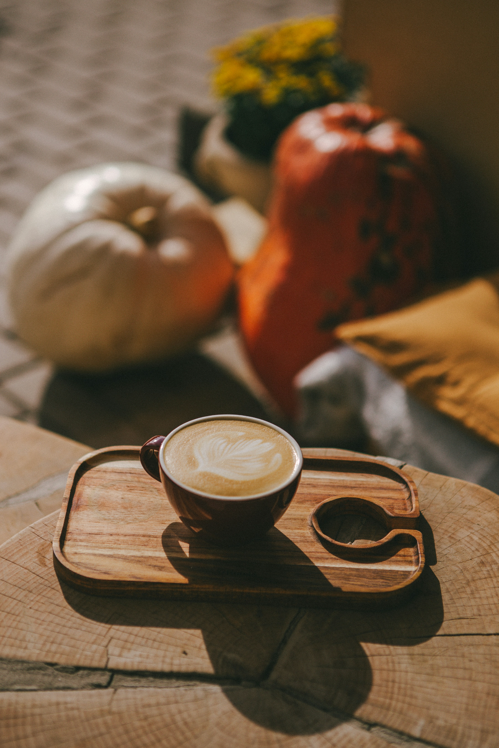 Premium Sand + Paws Pumpkin Soy Latte 12 oz scented candle