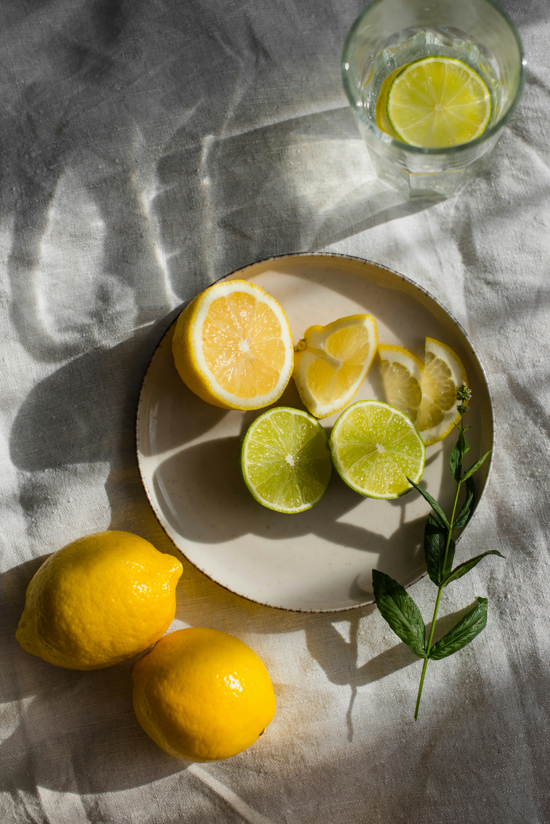 Premium Limoncello 10 oz scented candle