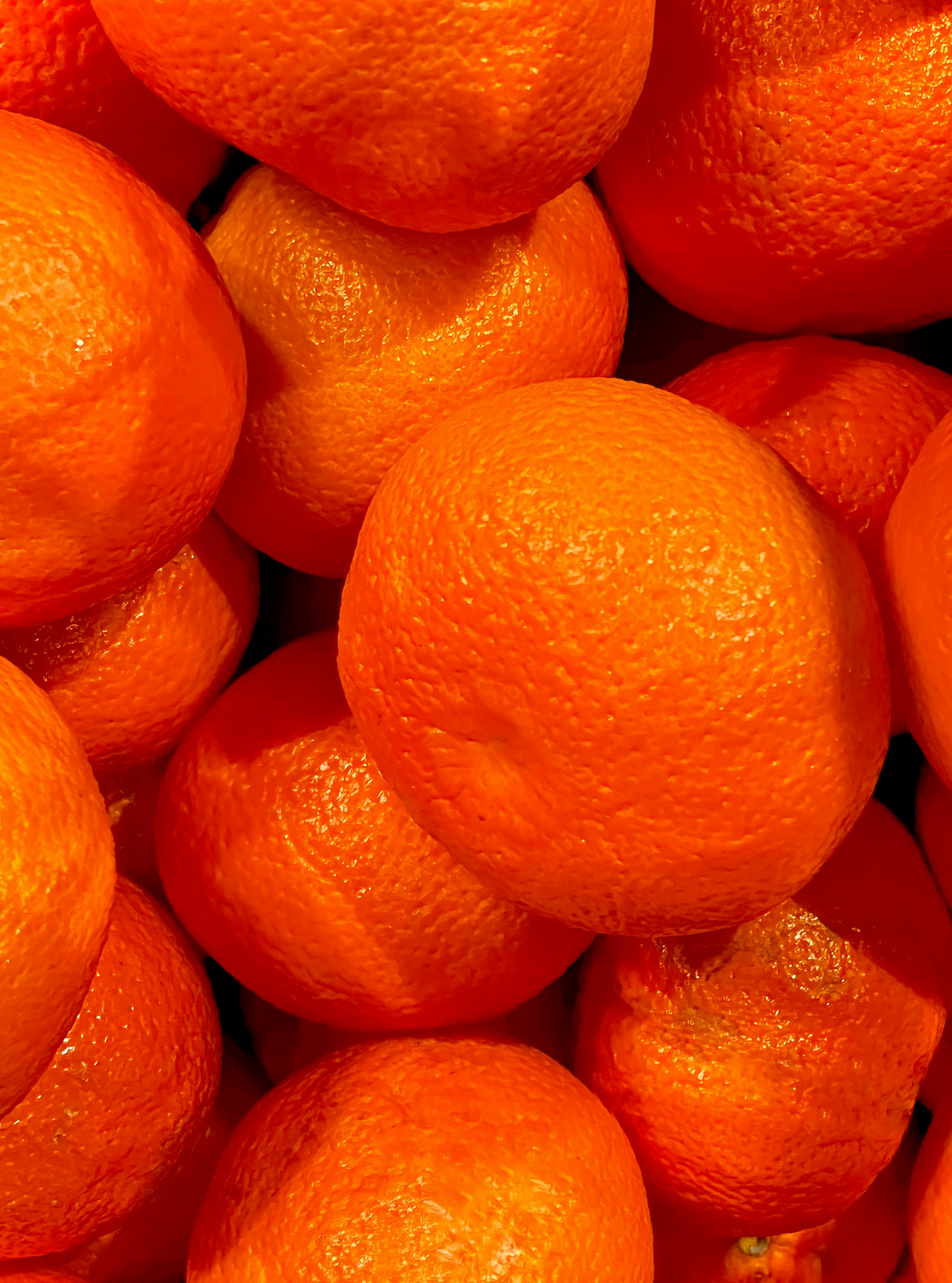 Premium Mango & Sweet Tangerine 10 oz scented candle