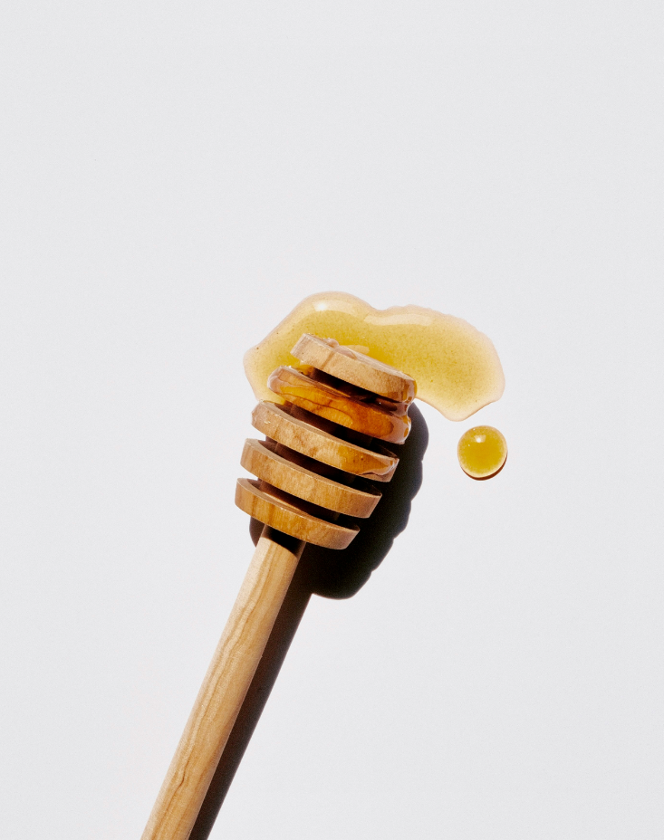 Premium Sweet Honey 10 oz scented candle