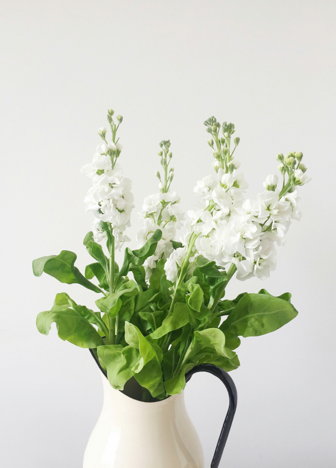 Premium White Flowers 10 oz scented candle