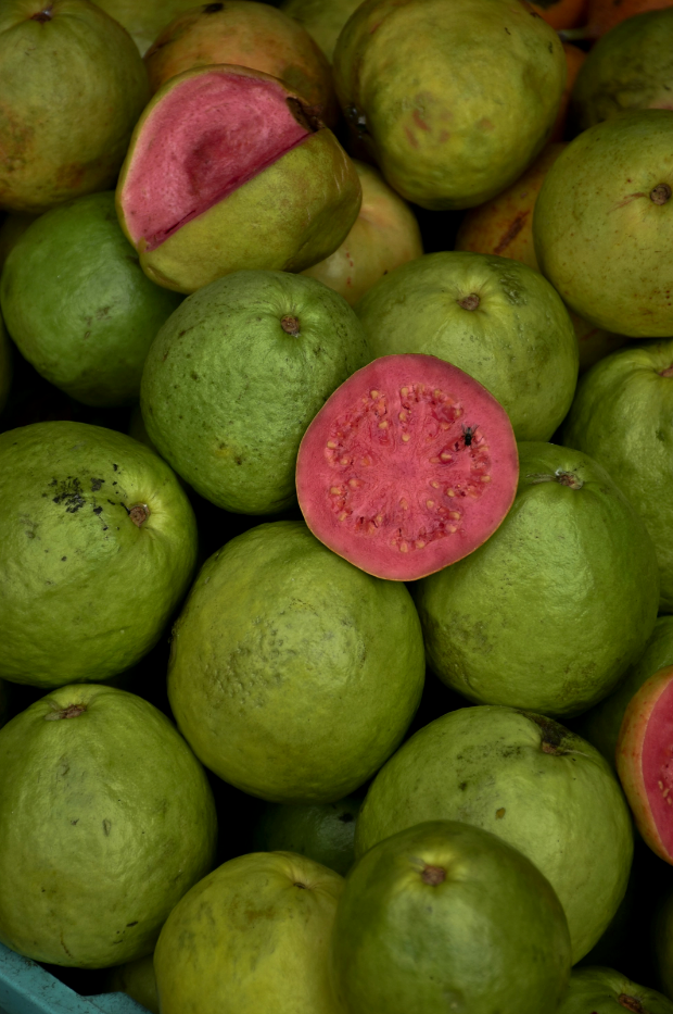 Premium Paradise Guava 12 oz scented candle
