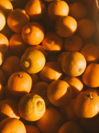 Premium Sand + Paws Golden Citrus 12 oz scented candle