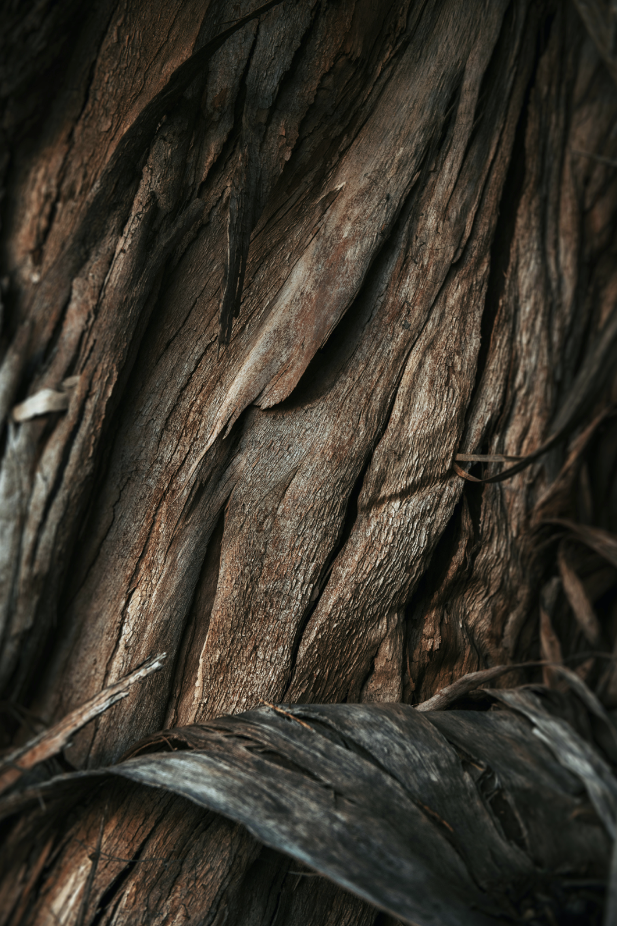 Premium Vanilla Sandalwood 15.7 oz Liquid Hand Soap