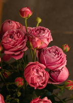 Premium Rose & Peony 50 ml Perfume Oil Dropper