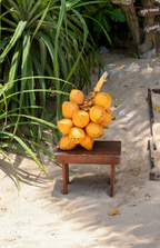 Premium Coconut Blossom 50 ml Perfume Oil Dropper