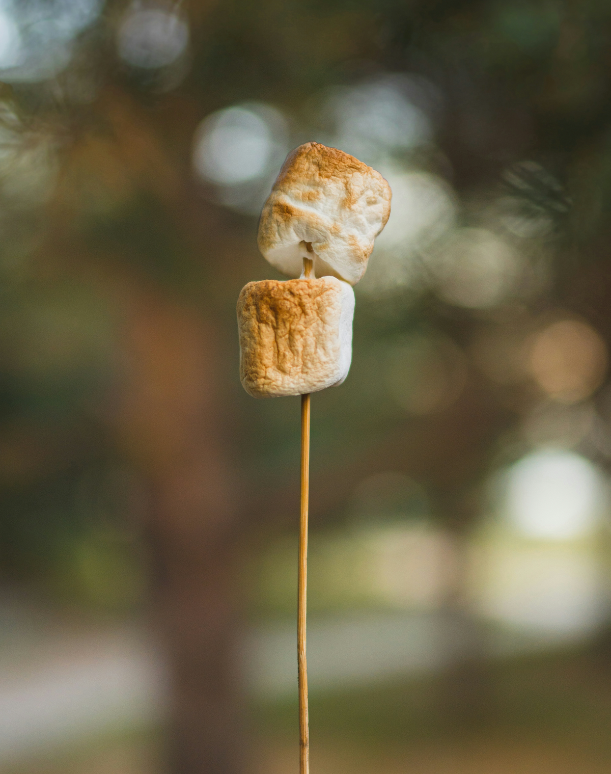 Premium Toasted Marshmallow 50ml Perfume Oil Dropper