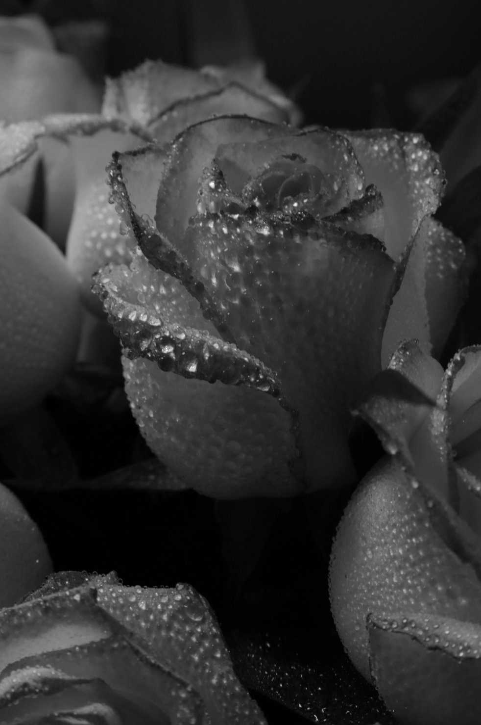 Premium Rose Dew 50ml Perfume Oil Dropper